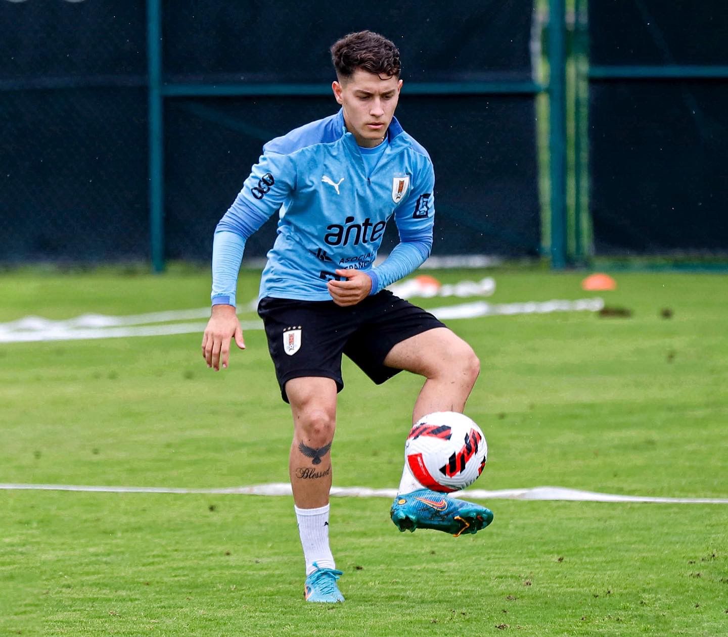 Jugador de fútbol profesional