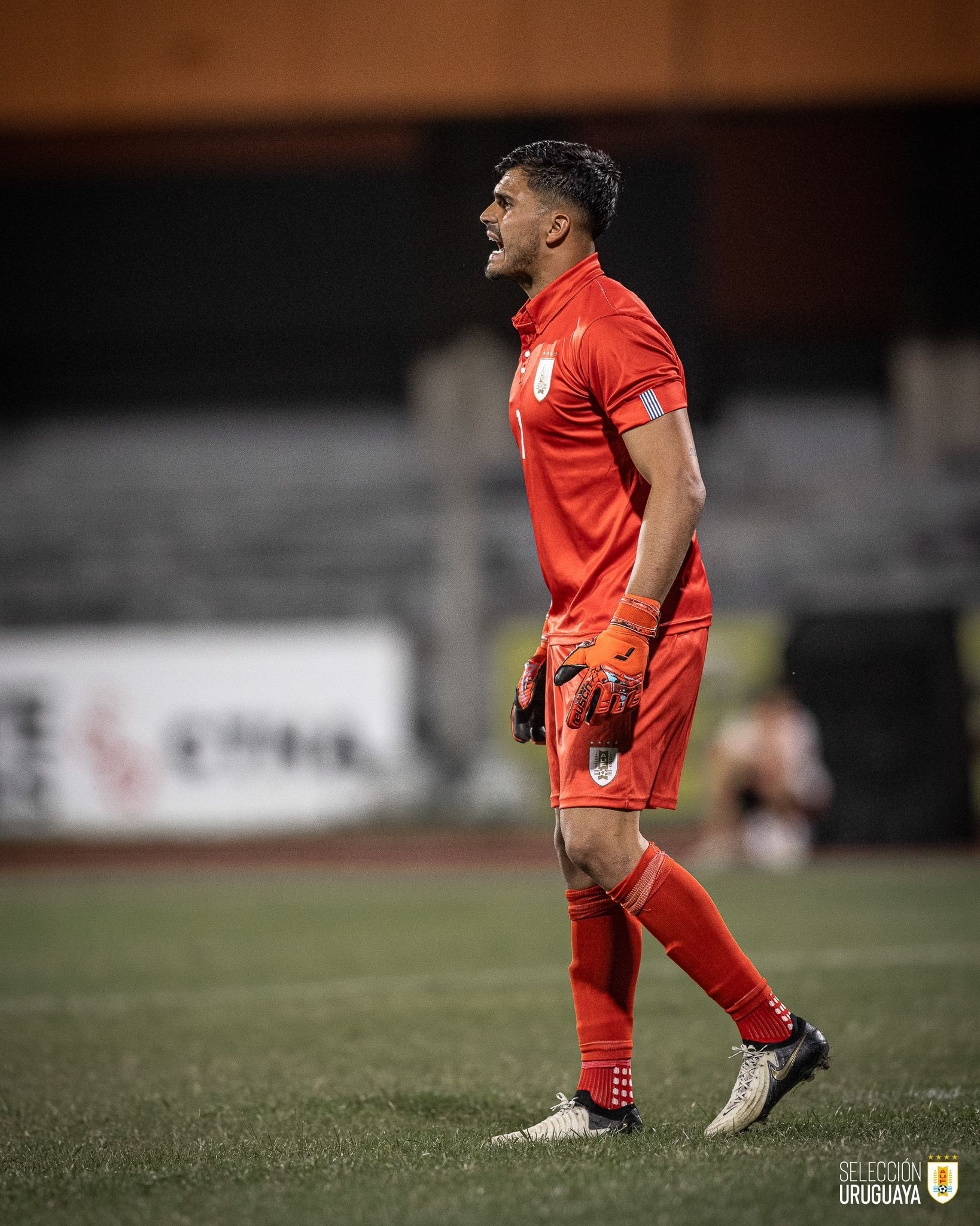 Jugador de fútbol profesional